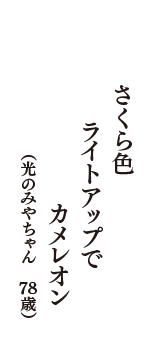 さくら色　ライトアップで　カメレオン　（光のみやちゃん　78歳）