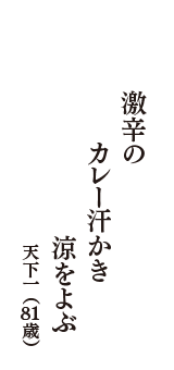 激辛の　カレー汗かき　涼をよぶ　（天下一　81歳）