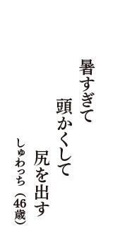 暑すぎて　頭かくして　尻を出す　（しゅわっち　46歳）