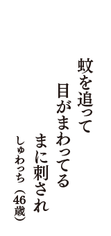 蚊を追って　目がまわってる　まに刺され　（しゅわっち　46歳）