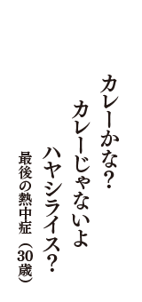 カレーかな？　カレーじゃないよ　ハヤシライス？　（最後の熱中症　30歳）