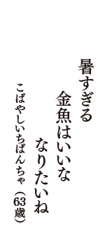 暑すぎる　金魚はいいな　なりたいね　（こばやしいちばんちゃ　63歳）