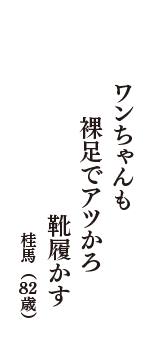 ワンちゃんも　裸足でアツかろ　靴履かす　（桂馬　82歳）