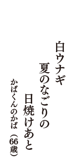 白ウナギ　夏のなごりの　日焼けあと　（かばくんのかば　66歳）