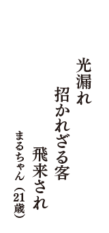 光漏れ　招かれざる客　飛来され　（まるちゃん　21歳）