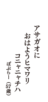 アサガオに　おはようヒマワリ　コニャニャチハ　（ぽぷらー　57歳）