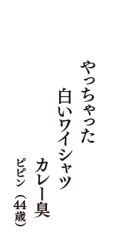 やっちゃった　白いワイシャツ　カレー臭　（ピピン　44歳）