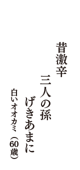 昔激辛　三人の孫　げきあまに　（白いオオカミ　60歳）