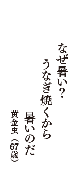 なぜ暑い？　うなぎ焼くから　暑いのだ　（黄金虫　67歳）