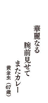 華麗なる　腕前見せて　またカレー　（黄金虫　67歳）