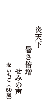 炎天下　暑さ倍増　せみの声　（麦 いちご　50歳）