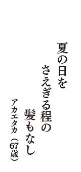 夏の日を　さえぎる程の　髪もなし　（アカエタカ　67歳）