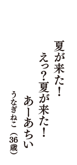 夏が来た！　えっ？夏が来た！　あーあちい　（うなぎねこ　36歳）