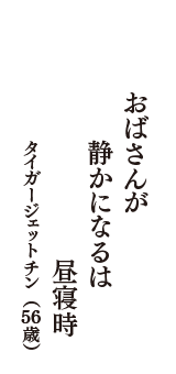 おばさんが　静かになるは　昼寝時　（タイガージェットチン　56歳）