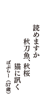 読めますか　秋刀魚、秋桜　猫に訊く　（ぽぷらー　57歳）