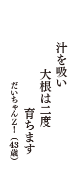 汁を吸い　大根は二度　育ちます　（だいちゃんＺ！　43歳）