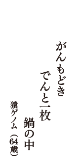 がんもどき　でんと一枚　鍋の中　（猿ゲノム　64歳）