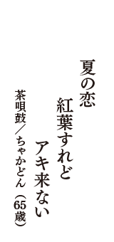 夏の恋　紅葉すれど　アキ来ない　（茶唄鼓／ちゃかどん　65歳）