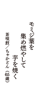 モミジ葉を　集め燃やして　芋を焼く　（茶唄鼓／ちゃかどん　65歳）