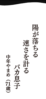 陽が落ちる　速さを計る　バカ息子　（中年やまめ　71歳）