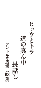 ヒョウとトラ　道の真ん中　長話し　（アントニオ馬場　63歳）