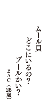 ムール貝　どこにいるの？　プールかい？　（BAC　25歳）