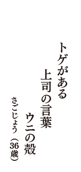 トゲがある　上司の言葉　ウニの殻　（さごじょう　36歳）