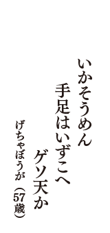 いかそうめん　手足はいずこへ　ゲソ天か　（げちゃぼうが　57歳）