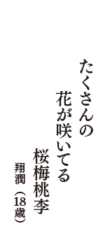 たくさんの　花が咲いてる　桜梅桃李　（翔潤　18歳）