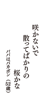 咲かないで　散ってばかりの　桜かな　（パパはバカボン　52歳）