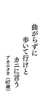 曲がらずに　歩いて行けと　カニに言う　（アカエタカ　67歳）