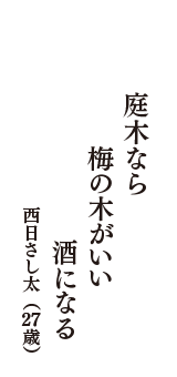 庭木なら　梅の木がいい　酒になる　（西日さし太　27歳）