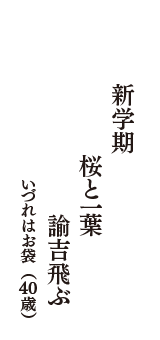 新学期　桜と一葉　諭吉飛ぶ　（いづれはお袋　40歳）