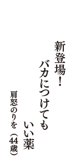 新登場！　バカにつけても　いい薬　（肩怒のりを　44歳）