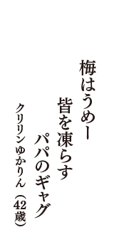 梅はうめー　皆を凍らす　パパのギャグ　（クリリンゆかりん　42歳）