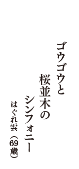 ゴウゴウと　桜並木の　シンフォニー　（はぐれ雲　69歳）