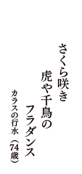 さくら咲き　虎や千鳥の　フラダンス　（カラスの行水　74歳）