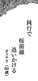 鈍行で　桜前線　追いかける　（カステラ　60歳）