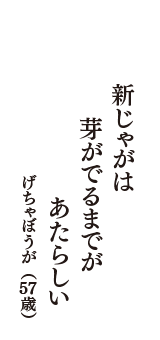 新じゃがは　芽がでるまでが　あたらしい　（げちゃぼうが　57歳）