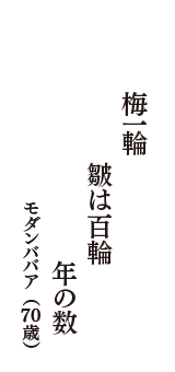 梅一輪　皺は百輪　年の数　（モダンババア　70歳）