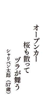 オープンカー　桜も散って　ヅラが舞う　（シャリベン太郎　57歳）