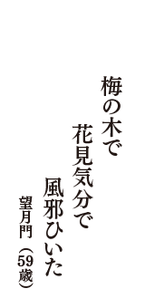 梅の木で　花見気分で　風邪ひいた　（望月門　59歳）