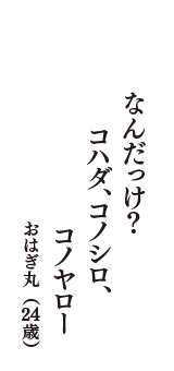 なんだっけ？　コハダ、コノシロ、　コノヤロー　（おはぎ丸　24歳）