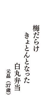 梅だらけ　きょとんとなった　白丸弁当　（元晶　37歳）