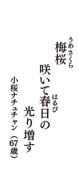 梅(うめ)桜(さくら)　咲いて春日(はるび)の　光り増す　（小桜ナチュチャン　67歳）