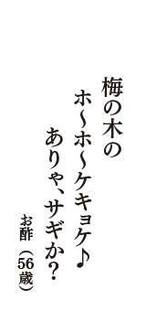 梅の木の　ホ～ホ～ケキョケ♪　ありゃ、サギか？　（お酢　56歳）