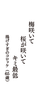 梅咲いて　桜が咲いて　キミ最低　（揚げすぎのコロッケ　65歳）