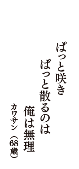 ぱっと咲き　ぱっと散るのは　俺は無理　（カワサン　68歳）