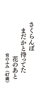 さくらんぼ　まだかと待ってた　花のあと　（宮のふみ　47歳）