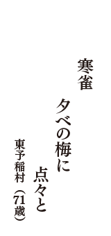 寒雀　夕べの梅に　点々と　（東予稲村　71歳）